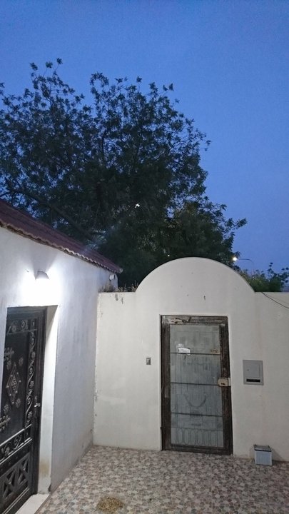 مشاركاتي في أنت الراصد