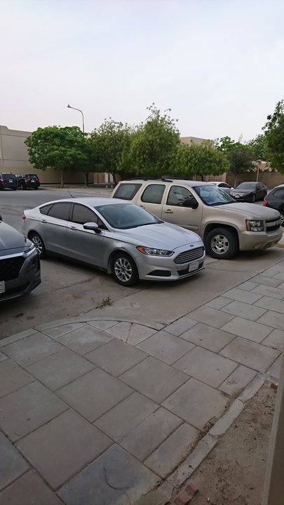 مشاركاتي في أنت الراصد