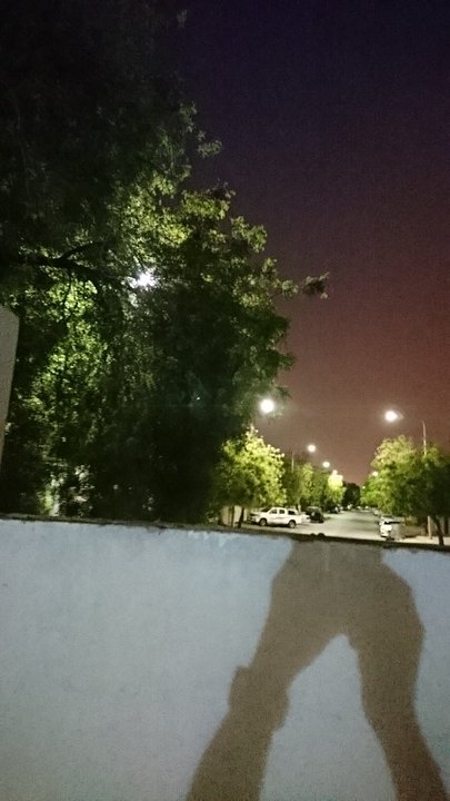 مشاركاتي في أنت الراصد