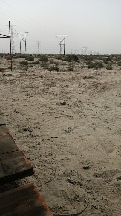 مشاركاتي في أنت الراصد