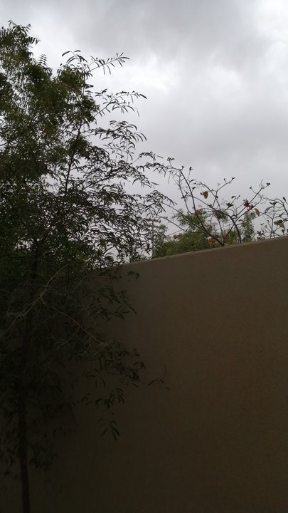 مشاركاتي في أنت الراصد