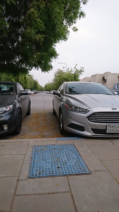 مشاركاتي في أنت الراصد