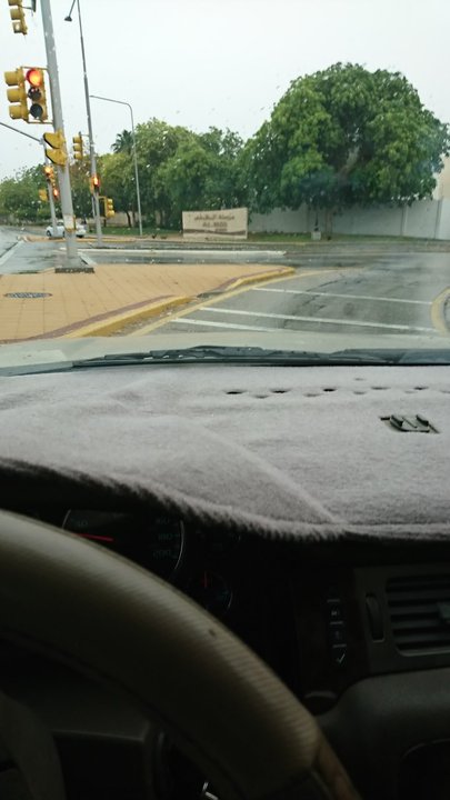 مشاركاتي في أنت الراصد