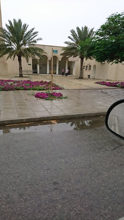 مشاركاتي في أنت الراصد