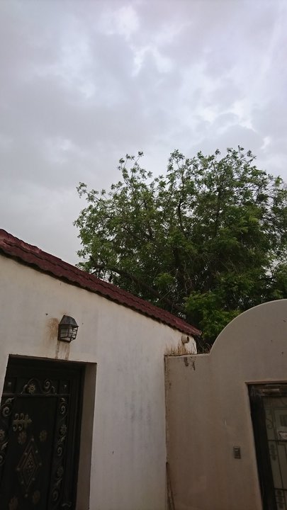 مشاركاتي في أنت الراصد