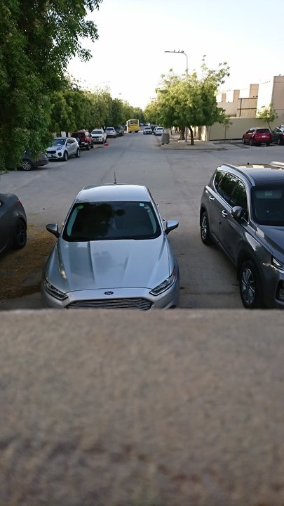 مشاركاتي في أنت الراصد