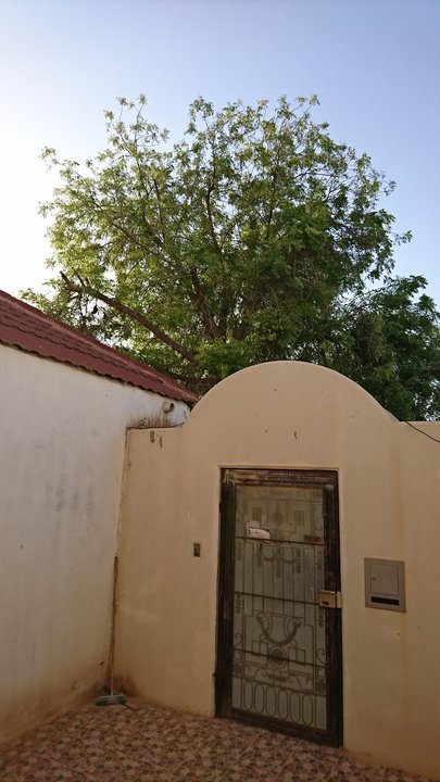 مشاركاتي في أنت الراصد