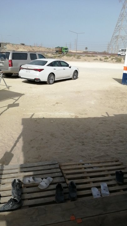 مشاركاتي في أنت الراصد