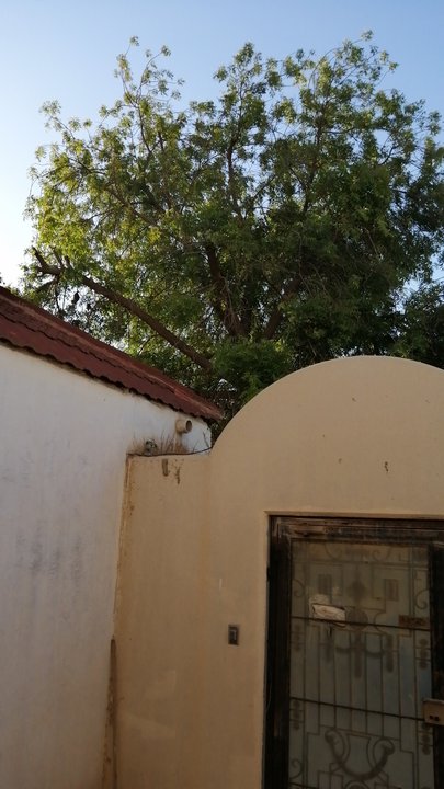 مشاركاتي في أنت الراصد