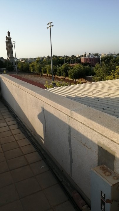 مشاركاتي في أنت الراصد