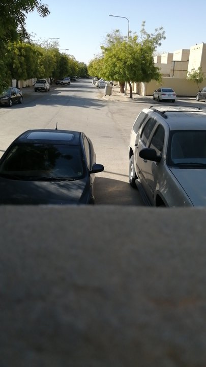 مشاركاتي في أنت الراصد