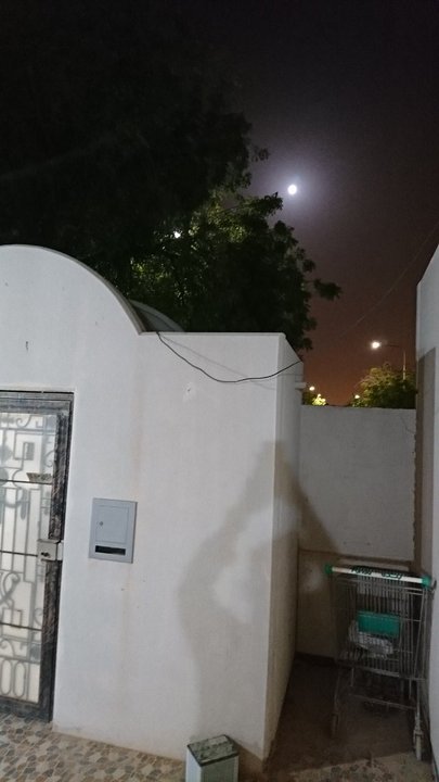 مشاركاتي في أنت الراصد