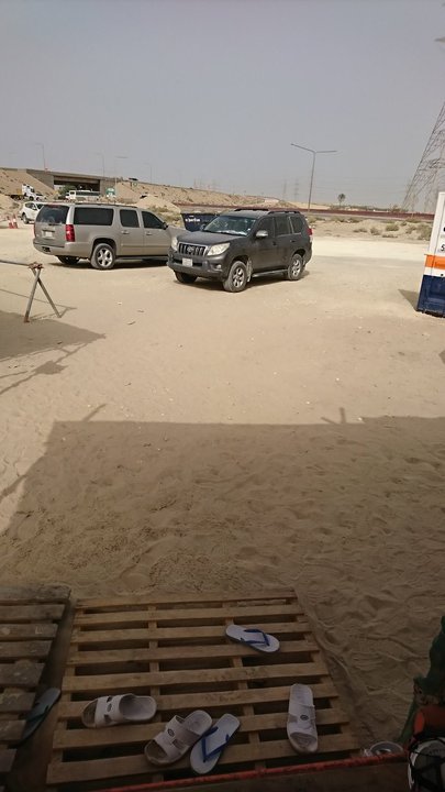 مشاركاتي في أنت الراصد