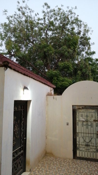 مشاركاتي في أنت الراصد