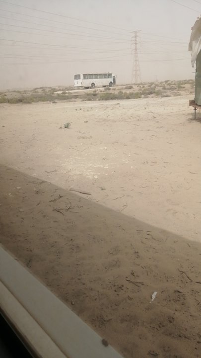 مشاركاتي في أنت الراصد