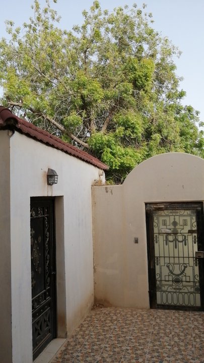 مشاركاتي في أنت الراصد