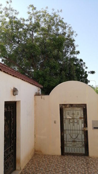 مشاركاتي في أنت الراصد