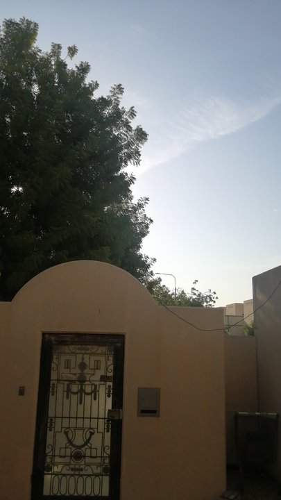 مشاركاتي في أنت الراصد