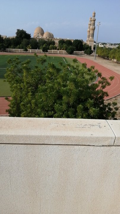 My Crowdsourcing Posts