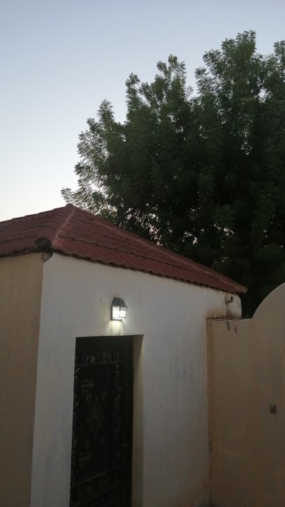 Mes publications Crowdsourcing