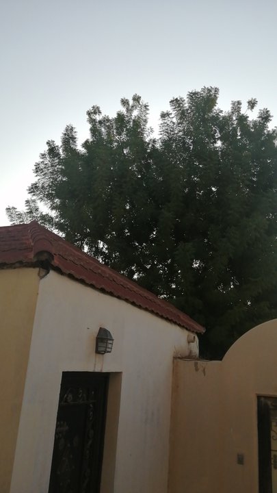 Mes publications Crowdsourcing