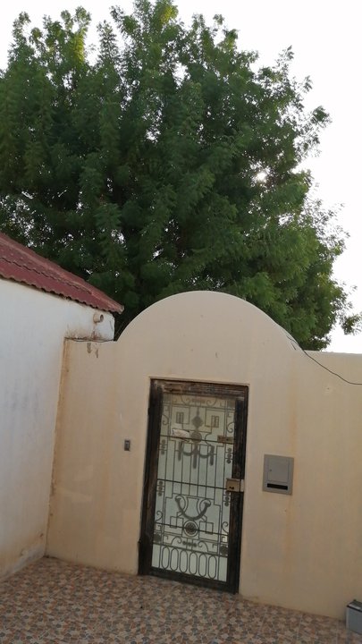 Mes publications Crowdsourcing