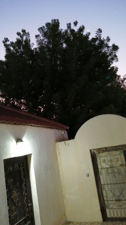 Mes publications Crowdsourcing