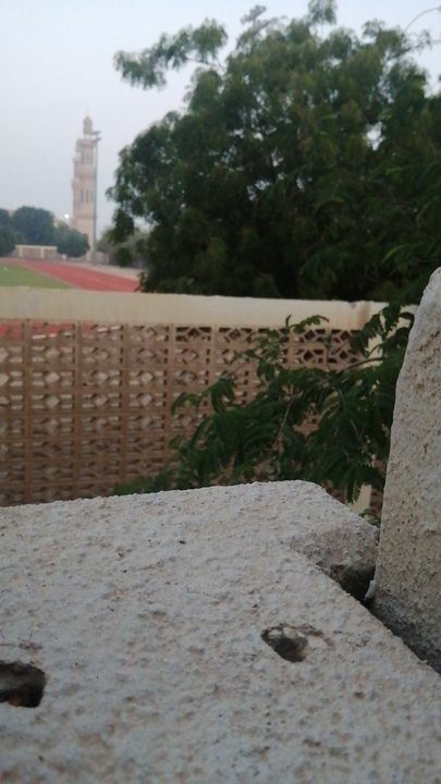 Mes publications Crowdsourcing