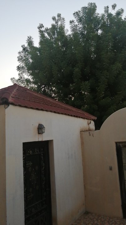 Mes publications Crowdsourcing