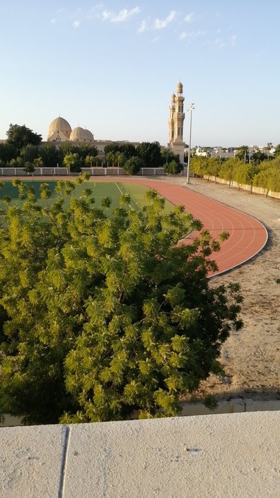 Mes publications Crowdsourcing