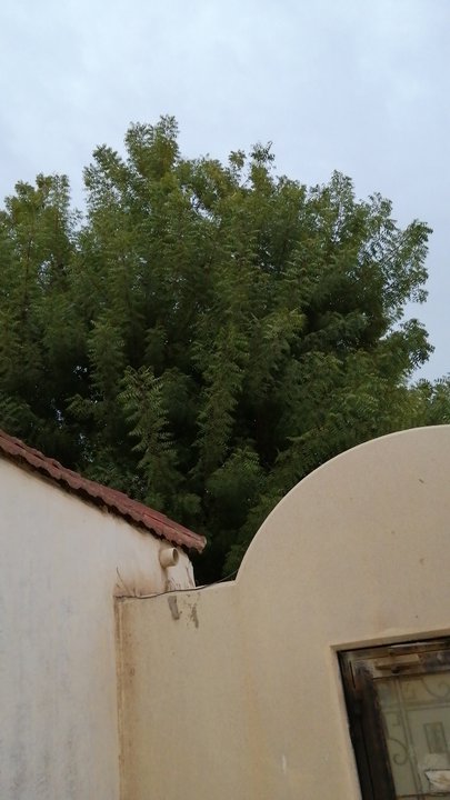 Mes publications Crowdsourcing