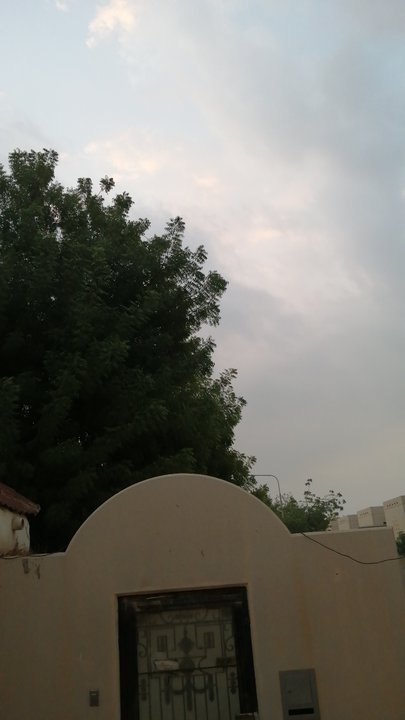 Mes publications Crowdsourcing