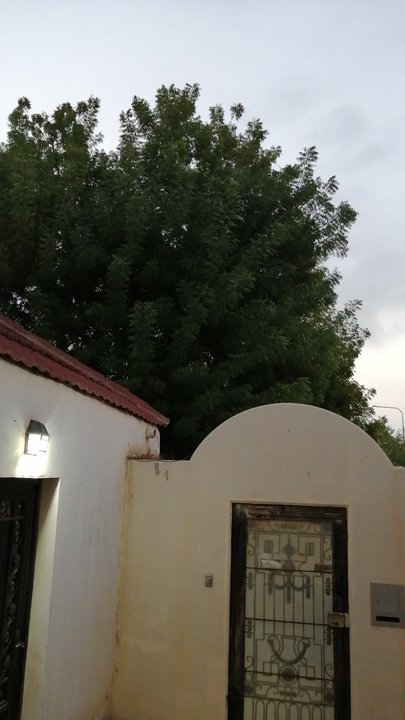 Mes publications Crowdsourcing