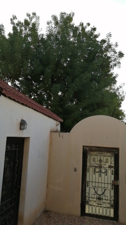 Mes publications Crowdsourcing