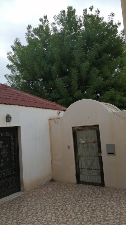 Mes publications Crowdsourcing