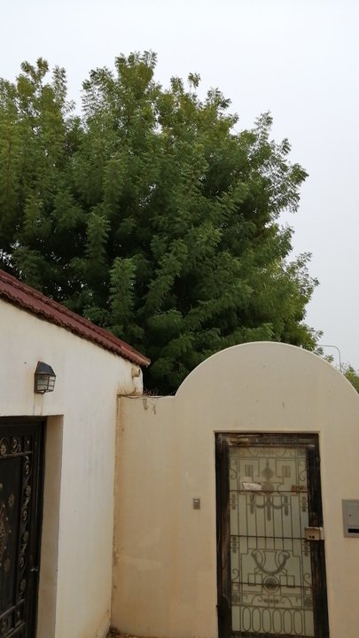 Mes publications Crowdsourcing