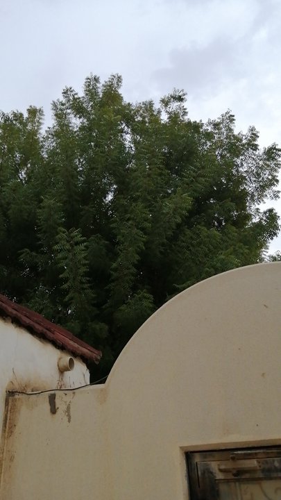 Mes publications Crowdsourcing