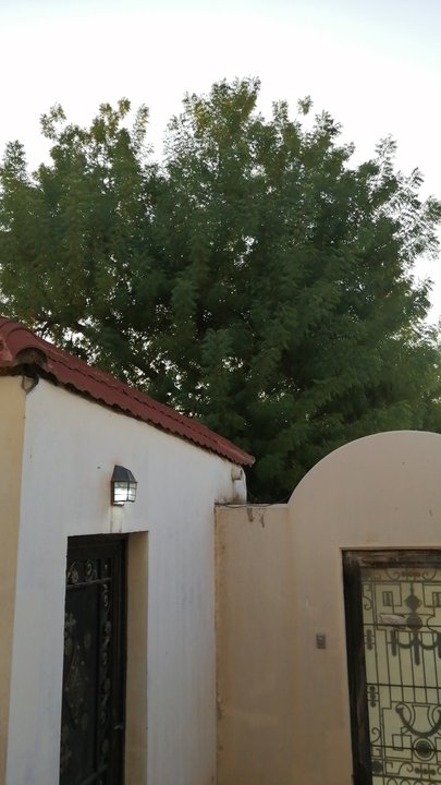 Mes publications Crowdsourcing