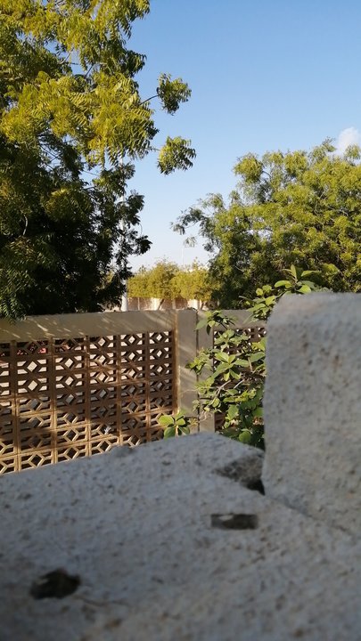 Mes publications Crowdsourcing