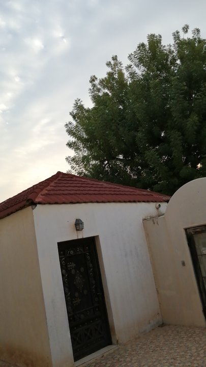 Mes publications Crowdsourcing