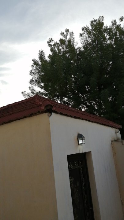 Mes publications Crowdsourcing