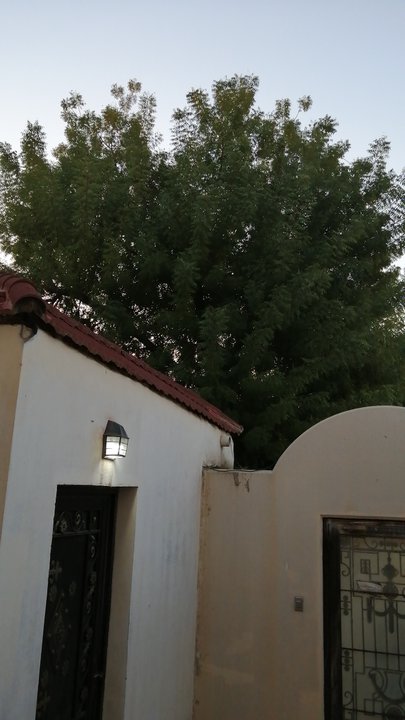 Mes publications Crowdsourcing