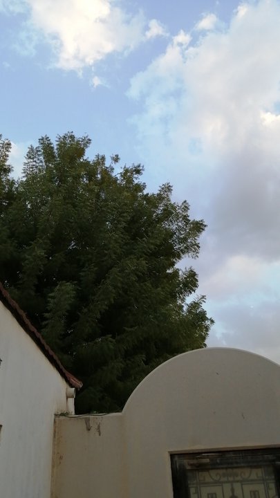 Mes publications Crowdsourcing