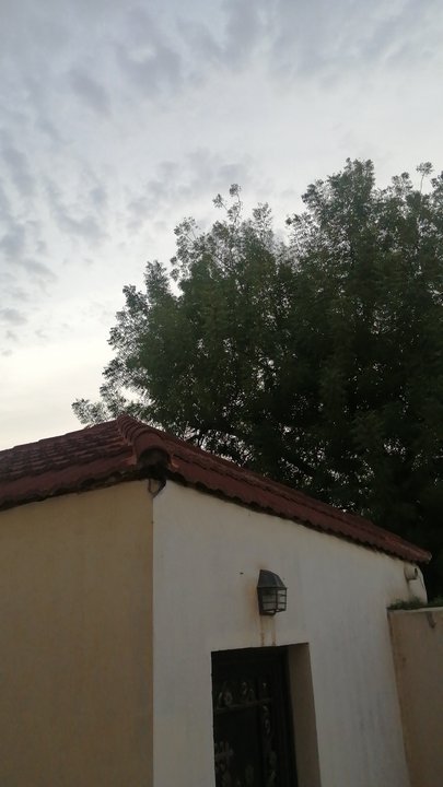 Mes publications Crowdsourcing