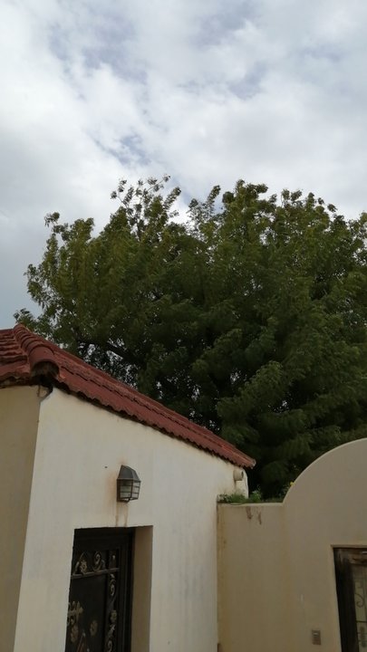 Mes publications Crowdsourcing