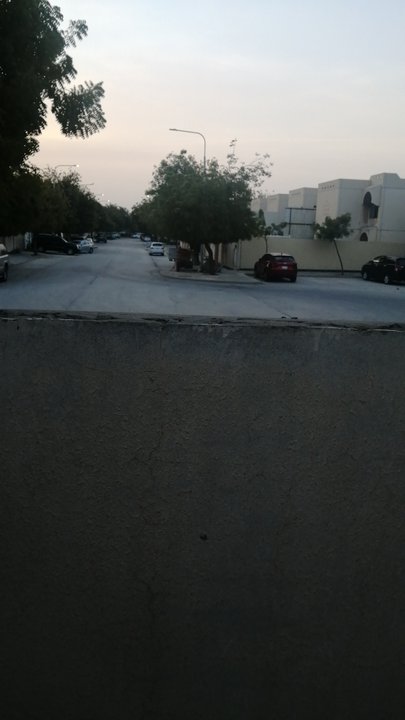 Mes publications Crowdsourcing