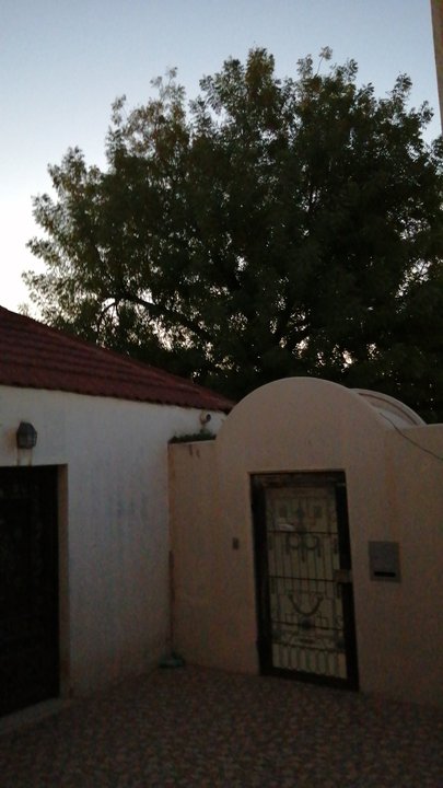 Mes publications Crowdsourcing