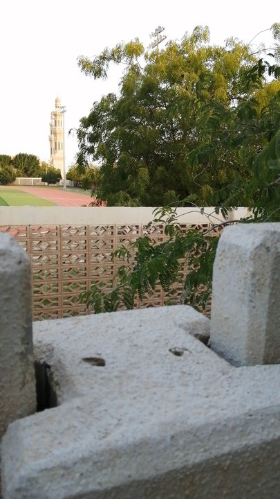 Mes publications Crowdsourcing