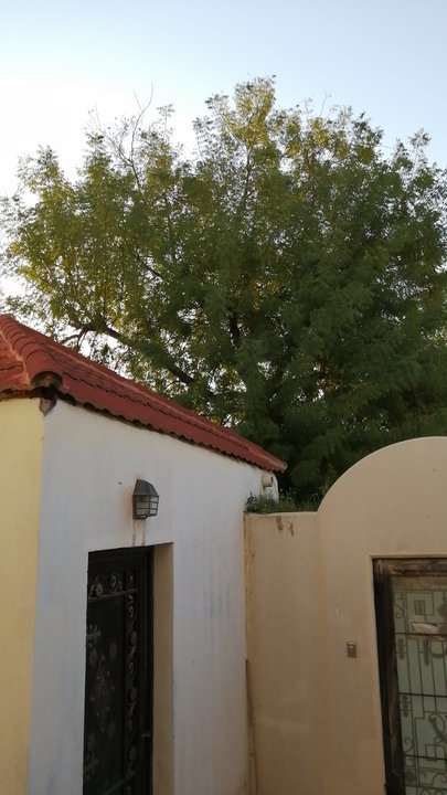 Mes publications Crowdsourcing