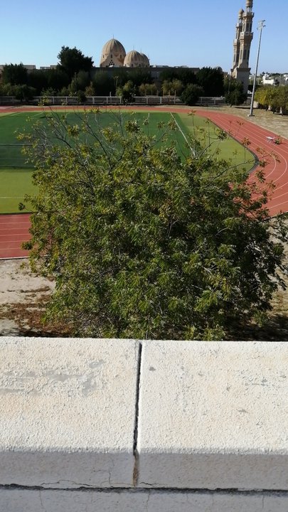 Mes publications Crowdsourcing